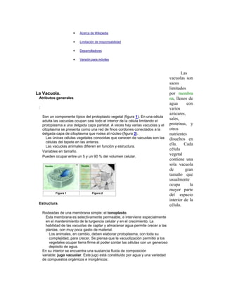  Acerca de Wikipedia
 Limitación de responsabilidad
 Desarrolladores
 Versión para móviles
La Vacuola.
Atributos generales
:
Son un componente típico del protoplasto vegetal (figura 1). En una célula
adulta las vacuolas ocupan casi todo el interior de la célula limitando el
protoplasma a una delgada capa parietal. A veces hay varias vacuolas y el
citoplasma se presenta como una red de finos cordones conectados a la
delgada capa de citoplasma que rodea al núcleo (figura 2).
Las únicas células vegetales conocidas que carecen de vacuolas son las
células del tapete en las anteras.
Las vacuolas animales difieren en función y estructura.
Variables en tamaño.
Pueden ocupar entre un 5 y un 90 % del volumen celular.
Figura 1 Figura 2
Estructura.
Rodeadas de una membrana simple: el tonoplasto.
Esta membrana es selectivamente permeable, e interviene especialmente
en el mantenimiento de la turgencia celular y en el crecimiento. La
habilidad de las vacuolas de captar y almacenar agua permite crecer a las
plantas, con muy poca gasto de material.
Los animales, en cambio, deben elaborar protoplasma, con toda su
complejidad, para crecer. Se piensa que la vacuolización permitió a los
vegetales ocupar tierra firme al poder contar las células con un generoso
depósito de agua.
En su interior se encuentra una sustancia fluida de composición
variable: jugo vacuolar. Este jugo está constituido por agua y una variedad
de compuestos orgánicos e inorgánicos:
Las
vacuolas son
sacos
limitados
por membra
na, llenos de
agua con
varios
azúcares,
sales,
proteínas, y
otros
nutrientes
disueltos en
ella. Cada
célula
vegetal
contiene una
sola vacuola
de gran
tamaño que
usualmente
ocupa la
mayor parte
del espacio
interior de la
célula.
 