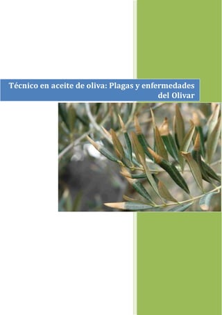 Técnico en aceite de oliva: Plagas y enfermedades
del Olivar
 