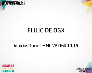 FLUJO DE OGX 
Vinícius Torres –MC VP OGX 14.15  