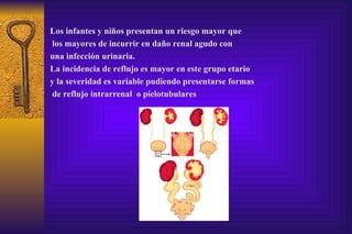 Los infantes y niños presentan un riesgo mayor que los mayores de incurrir en daño renal agudo con  una infección urinaria. La incidencia de reflujo es mayor en este grupo etario  y la severidad es variable pudiendo presentarse formas de reflujo intrarrenal  o pielotubulares 