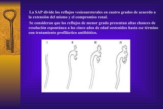 La SAP divide los reflujos vesicoureterales en cuatro grados de acuerdo a la extensión del mismo y el compromiso renal. Se consideran que los reflujos de menor grado presentan altas chances de resolución espontánea a los cinco años de edad sostenidos hasta ese término con tratamiento profiláctico antibiótico. 