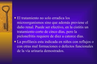 El tratamiento no solo erradica los microorganismos sino que además previene el daño renal. Puede ser efectivo, en la cistitis un tratamiento corto de cinco días, pero la pielonefritis requiere de diez a catorce días. La profilaxis esta indicada en niños con reflujos o con otras mal formaciones o defectos funcionales de la vía urinaria demostrados. 