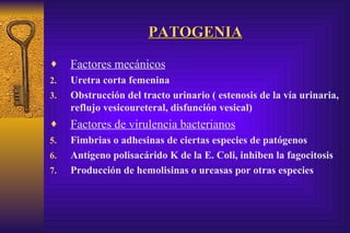 PATOGENIA Factores mecánicos Uretra corta femenina Obstrucción del tracto urinario ( estenosis de la vía urinaria, reflujo vesicoureteral, disfunción vesical) Factores de virulencia bacterianos Fimbrias o adhesinas de ciertas especies de patógenos Antígeno polisacárido K de la E. Coli, inhiben la fagocitosis Producción de hemolisinas o ureasas por otras especies  
