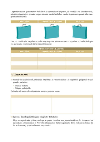 86
La primera acción que debemos realizar es la identificación en partes, de acuerdo a sus características,
así determinamos tres grandes grupos, en cada una de las bolsas escribe lo que corresponda a las cate-
gorías identificadas:
Una vez clasificadas las palabras en las subcategorías, solamente resta el organizar el cuadro jerárqui-
co, que estaría conformado de la siguiente manera:
a) Realiza una clasificación jerárquica, referente a la “música actual”; te sugerimos que partas de dos
grandes variables:
•   Música bailable
•   Música no bailable
Debes incluir subniveles tales como, autores, géneros, temas.
b) 	Ejercicio de enfoque al Proyecto Integrador de Saberes:
Elige un organizador gráfico en el que se pueda visualizar una jerarquía del uso del tiempo en las
actividades a realizarse en el Proyecto Integrador de Saberes; para ello debes realizar un listado de
las actividades y priorizar las más importantes
SANGREVASOS SANGUÍNEOSCORAZÓN
SANGREVASOS SANGUÍNEOSCORAZÓN
SISTEMA CIRCULATORIO
4. APLICACIÓN:
 
