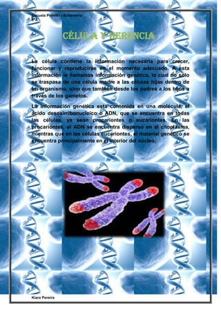 Escuela Primitiva Echeverría
8ºA
Kiara Pereira
La célula contiene la información necesaria para crecer,
funcionar y reproducirse en el momento adecuado. A esta
información le llamamos información genética, la cual no solo
se traspasa de una célula madre a las células hijas dentro de
un organismo, sino que también desde los padres a los hijos a
través de los gametos.
La información genética está contenida en una molécula, el
ácido desoxirribonucleico o ADN, que se encuentra en todas
las células, ya sean procariontes o eucariontes. En las
procariontes, el ADN se encuentra disperso en el citoplasma,
mientras que en las células eucariontes, el material genético se
encuentra principalmente en el interior del núcleo.
Célula y Herencia
 