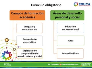 Campos de formación
académica
Lenguaje y
comunicación
Pensamiento
matemático
Exploración y
comprensión del
mundo natural y social
Áreas de desarrollo
personal y social
Educación
socioemocional
Artes
Educación física
Currículo obligatorioCurrículo obligatorio
 