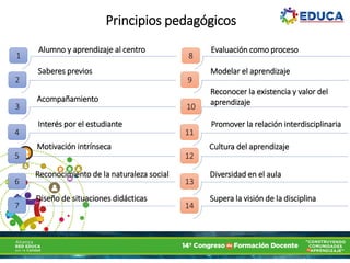 1
2
3
Principios pedagógicos
4
5
6
7
Alumno y aprendizaje al centro
Saberes previos
Acompañamiento
Interés por el estudiante
Motivación intrínseca
Reconocimiento de la naturaleza social
Diseño de situaciones didácticas
8
9
10
11
12
13
14
Evaluación como proceso
Modelar el aprendizaje
Reconocer la existencia y valor del
aprendizaje
Promover la relación interdisciplinaria
Cultura del aprendizaje
Diversidad en el aula
Supera la visión de la disciplina
 