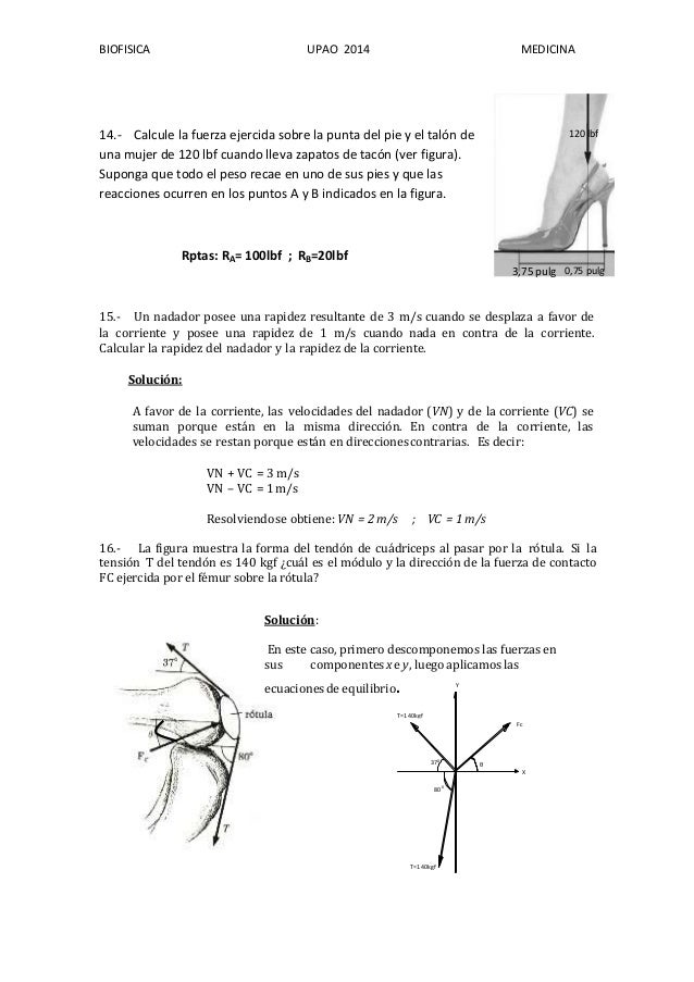 Libro Libro