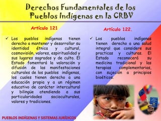 Derechos Fundamentales de los Pueblos Indígenas en la CRBV La propiedad de los territorios que tradicionalmente han ocupado; el uso de sus lenguas como idiomas oficiales, además del castellano; el derecho a tener su organización social, política y económica y el aprovechamiento de sus recursos naturales y su propiedad intelectual, todos ellos contenidos en el Capítulo VIII,  (art. 119 al 126) especialmente redactado para el reconocimiento de estos pueblos.Pueblos Indígenas y Sistemas Jurídicos
