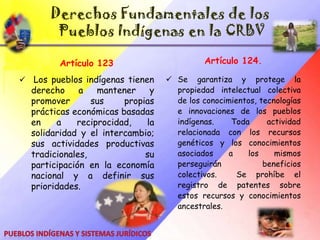Derechos Fundamentales de los Pueblos Indígenas en la CRBVArtículo 119Artículo 120El Estado reconocerá la existencia de los pueblos y comunidades indígenas, su organización social, política y económica, sus culturas, usos y costumbres, idiomas y religiones, así como su hábitat y derechos originarios sobre las tierras que ancestral y tradicionalmente ocupan y que son  necesarias para desarrollar y garantizar sus formas de vida. 