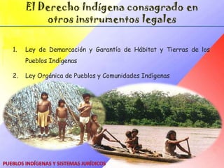 Derechos Fundamentales de los Pueblos Indígenas en la CRBVArtículo 123Artículo 124.Se garantiza y protege la propiedad intelectual colectiva de los conocimientos, tecnologías e innovaciones de los pueblos indígenas. Toda actividad relacionada con los recursos genéticos y los conocimientos asociados a los mismos perseguirán beneficios colectivos.  Se prohíbe el registro de patentes sobre estos recursos y conocimientos ancestrales. 