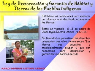 Los pueblos indígenas tienen derecho a mantener y promover sus propias prácticas económicas basadas en a reciprocidad, la solidaridad y el intercambio; sus actividades productivas tradicionales, su participación en la economía nacional y a definir sus prioridades. Pueblos Indígenas y Sistemas Jurídicos