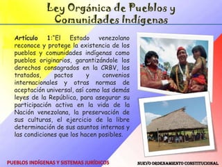 Ley de Demarcación y Garantía de Hábitat y Tierras de los Pueblos IndígenasPueblos Indígenas: Son los habitantes originarios del país, los cuales conservan sus identidades culturales específicas, idiomas, territorios, sus propias instituciones y organizaciones sociales, económicas y políticas, que les distinguen de otros sectores de la colectividad nacional. Comunidades Indígenas: Son aquellos asentamientos cuya población en su mayoría pertenece a uno o más pueblos indígenas y posee, en consecuencia, formas de vida, organización y expresiones culturales propias.Indígena: Son aquellas personas que se reconocen a si mismas y son reconocidas como tales, originarias y pertenecientes a un pueblo con características lingüísticas, sociales, culturales y económicas propias, ubicadas en una región determinada o pertenecientes a una comunidad indígenaPueblos Indígenas y Sistemas Jurídicos