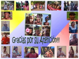 Ley Orgánica de Pueblos y Comunidades IndígenasArtículo 1:“El Estado venezolano reconoce y protege la existencia de los pueblos y comunidades indígenas como pueblos originarios, garantizándole los derechos consagrados en la CRBV, los tratados, pactos y convenios internacionales y otras normas de aceptación universal, así como las demás leyes de la República, para asegurar su participación activa en la vida de la Nación venezolana, la preservación de sus culturas, el ejercicio de la libre determinación de sus asuntos internos y las condiciones que los hacen posibles. Pueblos Indígenas y Sistemas JurídicosNUEVO ORDENAMIENTO CONSTITUCIONAL