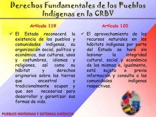 Constitución de 1999Plantea la “unidad en la diversidad”, exigiendo que se les reconozcan sus derechos específicos como naciones distintas y que han sido “olvidados” deliberadamente por quienes han detentado el poder económico y político de éste país. Es pionera y un importante punto de regencia en cuanto al reconocimiento de los Derechos de los Pueblos Indígenas, ninguna Constitución en América y en el resto del mundo integra y reconoce los derechos inherentes a las poblaciones propias de los países de la forma como lo hace esta Constitución.Pueblos Indígenas y Sistemas Jurídicos