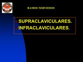  SUPRACLAVICULARES.
 INFRACLAVICULARES.
RAMOS NERVIOSOS
 