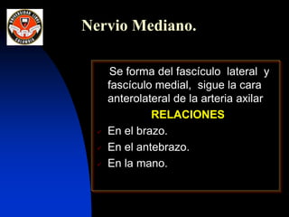 Se forma del fascículo lateral y
fascículo medial, sigue la cara
anterolateral de la arteria axilar
RELACIONES
 En el brazo.
 En el antebrazo.
 En la mano.
Nervio Mediano.
 