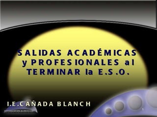 SALIDAS ACADÉMICAS  y  PROFESIONALES  al  TERMINAR  la  E . S . O . I.E.CAÑADA BLANCH  