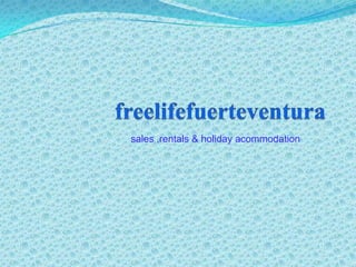 freelifefuerteventura sales ,rentals & holidayacommodation 