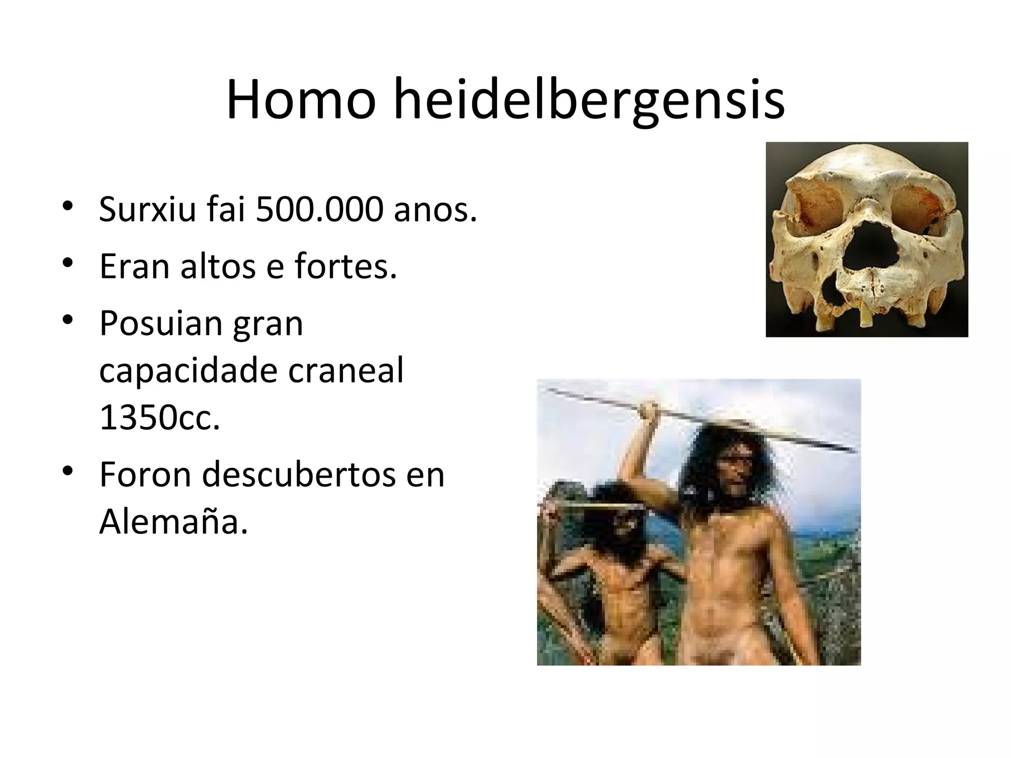 Novo open document presentation odp
