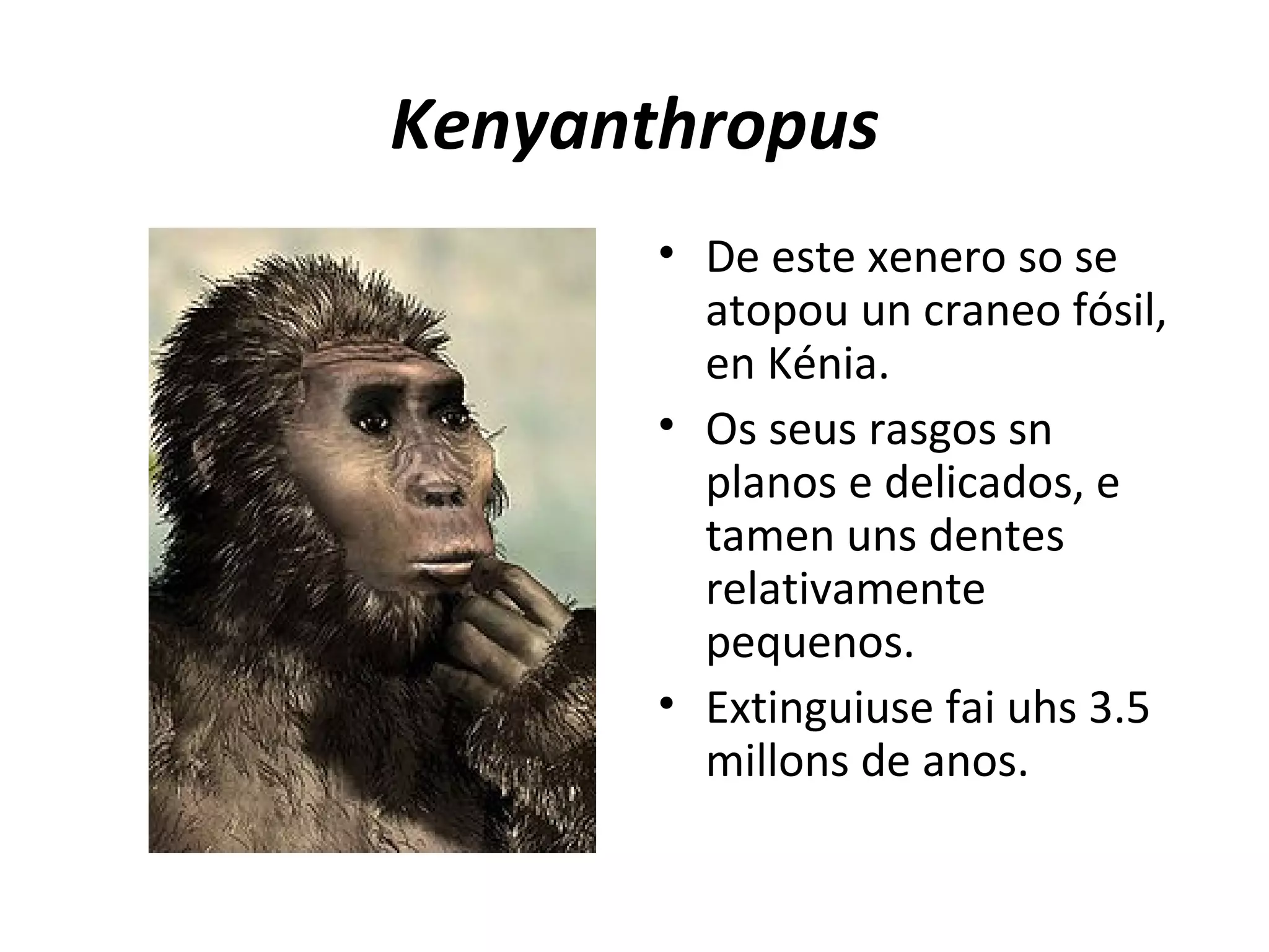 Novo open document presentation ppt