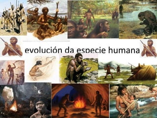 A evolución da especie humana 