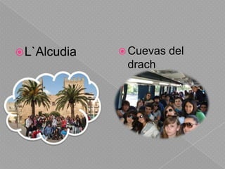 Cuevas del drachL`Alcudia