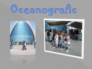 Oceanografic