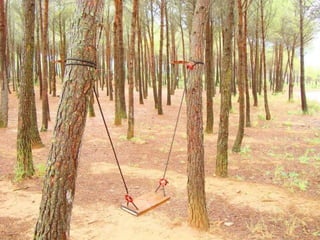 Camping Cam Entrepeñas