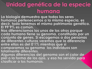 Unidad genética de la especie humana La biología demuestra que todos los seres humanos pertenecemos a la misma especia, es decir, todo tenemos el mismo patrimonio genético. El 99’9% es común. Nos diferenciamos los unos de los otros porque cada humano tiene su genoma, constituido por un conjunto de genes. Si escogemos a dos personas de diferentes culturas veremos que la diferencia entre ellos es del 0’1% mientras que si comparamos su genoma  los individuos son totalmente diferentes. Algunas diferencias del genoma son el color de piel o la forma de los ojos, y eso ha servido para clasificar a los humanos.