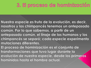 3. El proceso de hominización Nuestra especie es fruto de la evolución, es decir, nosotros y los chimpancés tenemos un antepasado común. Por lo que sabemos, a partir de un antepasado común, el linaje de los humanos y los chimpancés se separó; cada especie experimento mutaciones diferentes. El proceso de hominización es el conjunto de transformaciones que tuvo lugar durante la evolución de nuestra especie, desde los primeros homínidos hasta el hombre actual.