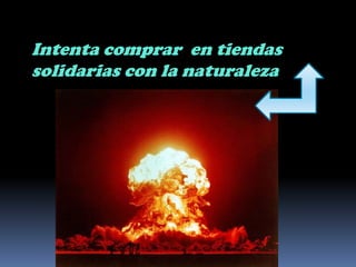 Intenta comprar  en tiendas solidarias con la naturaleza