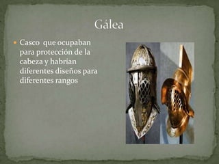                             Gálea Casco  que ocupaban para protección de la cabeza y habrían diferentes diseños para diferentes rangos