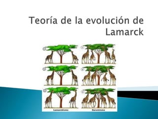 Teoría de la evolución de Lamarck 