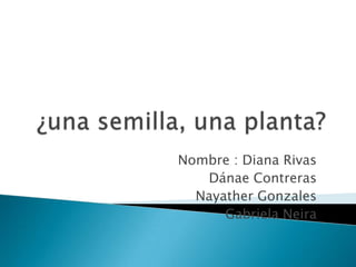 Nombre : Diana Rivas
   Dánae Contreras
  Nayather Gonzales
      Gabriela Neira
 