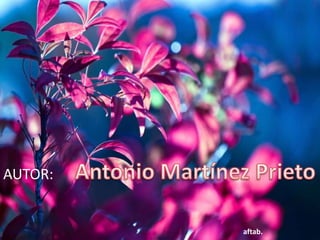 AUTOR:


         aftab.
 