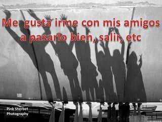 Pink Sherbet
Photography
 