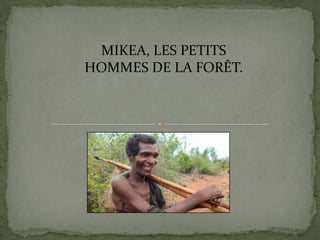 MIKEA, LES PETITS
HOMMES DE LA FORÊT.
 