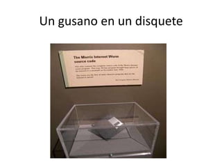 Un gusano en un disquete
 