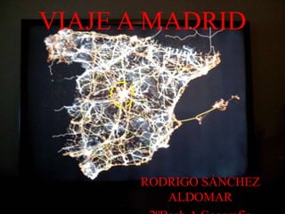 VIAJE A MADRID
RODRIGO SÁNCHEZ
ALDOMAR
 