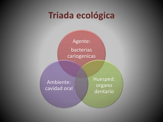 Triada ecológica
Agente:
bacterias
cariogenicas
Huesped:
organo
dentario
Ambiente:
cavidad oral
 