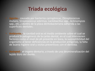 Triada ecológica
• Agente.- causado por bacterias cariogénicas, (Streptococcus
mutans, Streptococcus sobrinus, Lactobacillus spp., Actinomyces
spp., etc.,) dentro de la placa dentobacteriana adherida a las
superficies dentales.
• Ambiente.- la cavidad oral es el medio ambiente sobre el cual se
produce la patogénesis de la caries dental, en el cual intervienen
factores como el nivel de ph presente en boca, la susceptibilidad del
organismo al tener deficiencias en la producción antígenos, la falta
de buena higiene oral y visitas preventivas con el dentista.
• Huésped.- el órgano dentario, a través de una desmineralización del
tejido duro del diente.
 