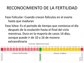 RECONOCIMIENTO DE LA FERTILIDAD
Fase Folicular: Cuando crecen folículos en el ovario
hasta que maduran
Fase lútea: Es el periodo de tiempo que comienza el día
después de la ovulación hasta el final del ciclo
menstrua. Dura en la mayoría de casos 14 días,
aunque puede ir de 10 a 16 de manera
extraordinaria
 
