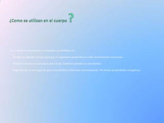 Si se clasifican de acuerdo a su función, se clasifican en:

  Enérgicos: aportan energía para que el organismo pueda llevar a cabo las funciones necesarias.

  Plásticos: forman la estructura del cuerpo. También permite su crecimiento.

  Reguladores: se encargan de que el metabolismo funcione correctamente. No tienen propiedades energéticas
 