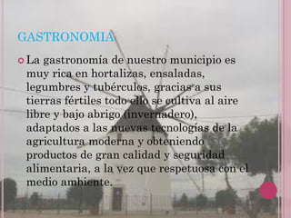 GASTRONOMIA
 La gastronomía de nuestro municipio es
 muy rica en hortalizas, ensaladas,
 legumbres y tubérculos, gracias ...