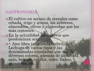 GASTRONOMIA
 El cultivo en secano de cereales como
  cebada, trigo y avena, los arbóreos,
  almendros, olivos y algarrobo...