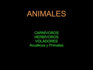 ANIMALES CARNÍVOROS HERBÍVOROS VOLADORES Acuáticos y Primates 