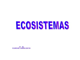 ECOSISTEMAS 4º  B CURSO 2009/2010 