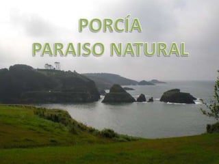 PORCÍA PARAISO NATURAL 