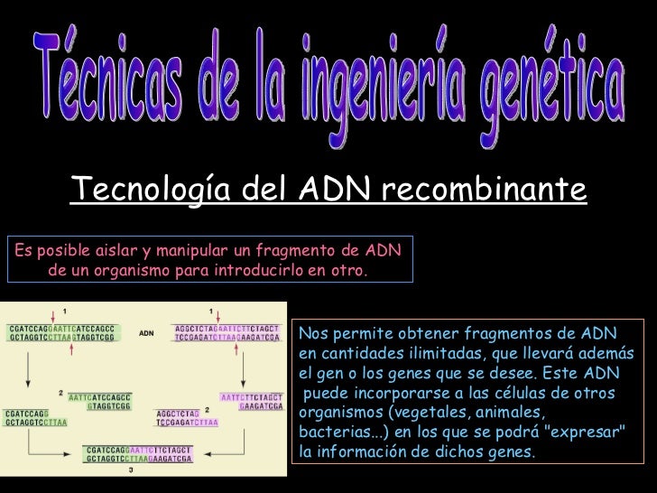 Ingenieria Genetica